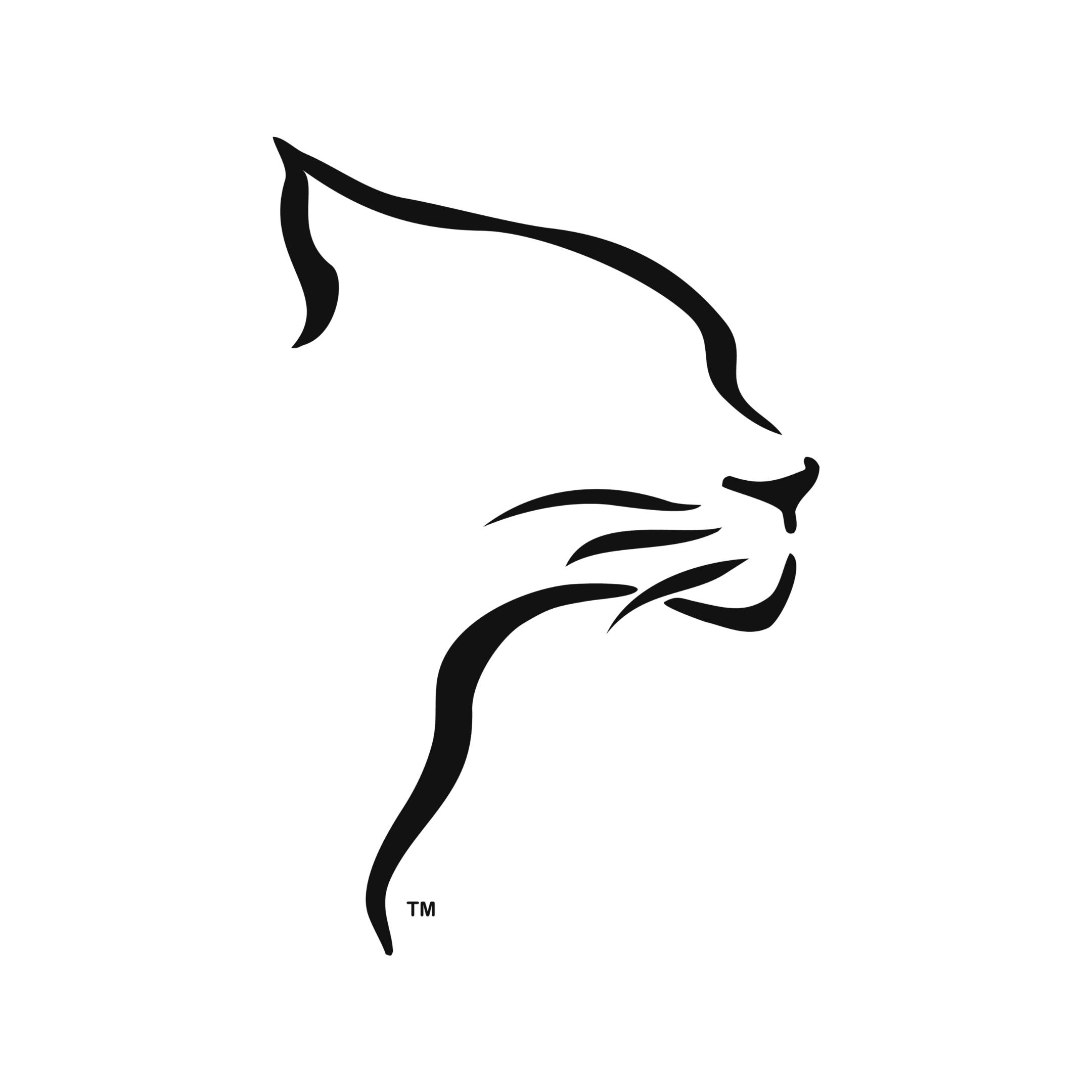 Innovative Timing Systems Logo